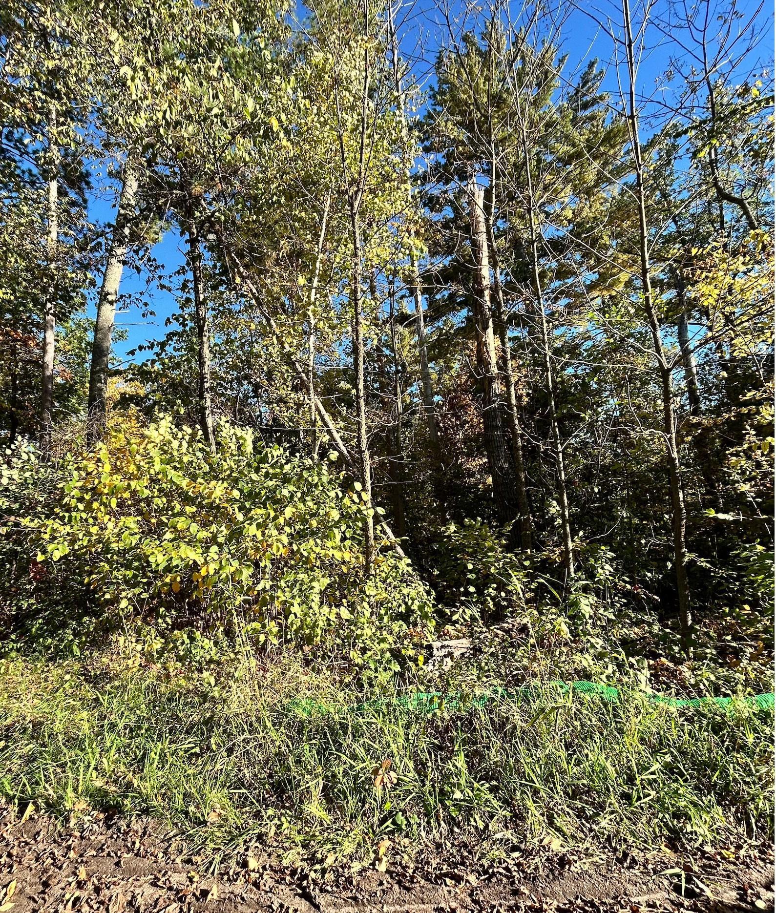 TBD Edna Lake Road