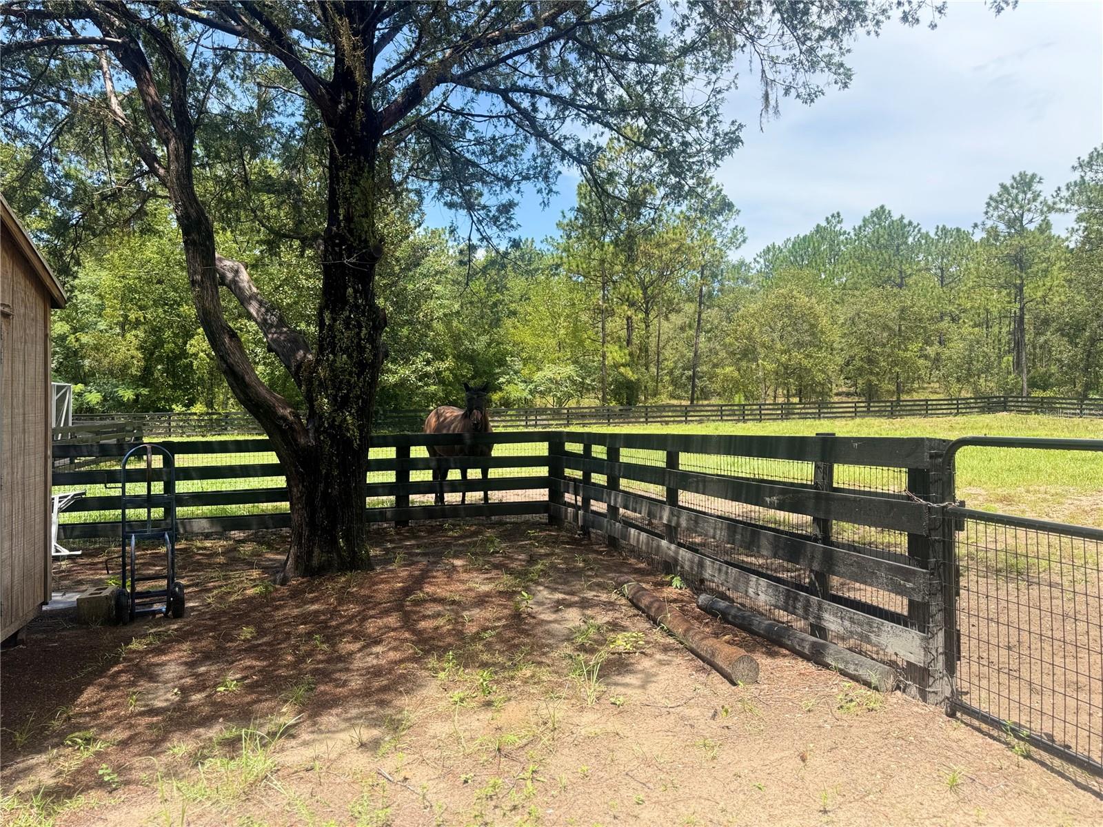 23303 NW MALLARD AVE