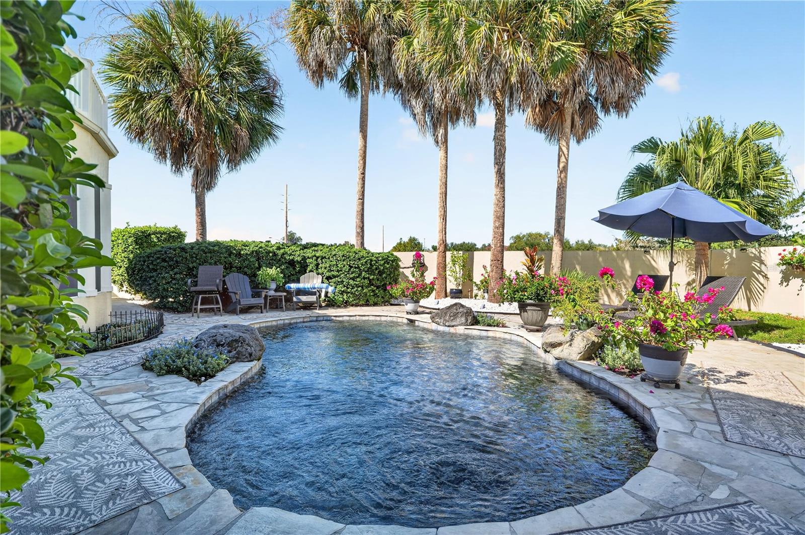 Curved backyard pool bordered by stone paving, palm trees, flowering plants, and patio seating.