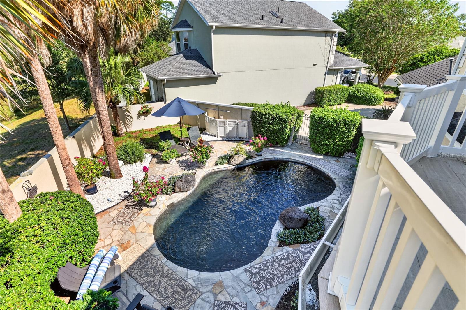 Backyard pool with curved stone-paved edges, tropical landscaping, and a blue patio umbrella.