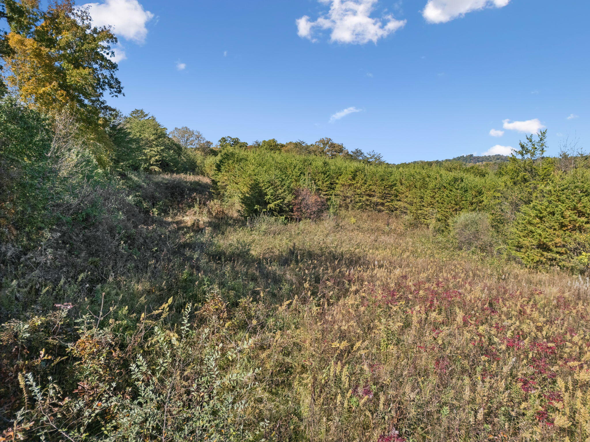 6.06 Old Sink Church Road, Tellico Plains