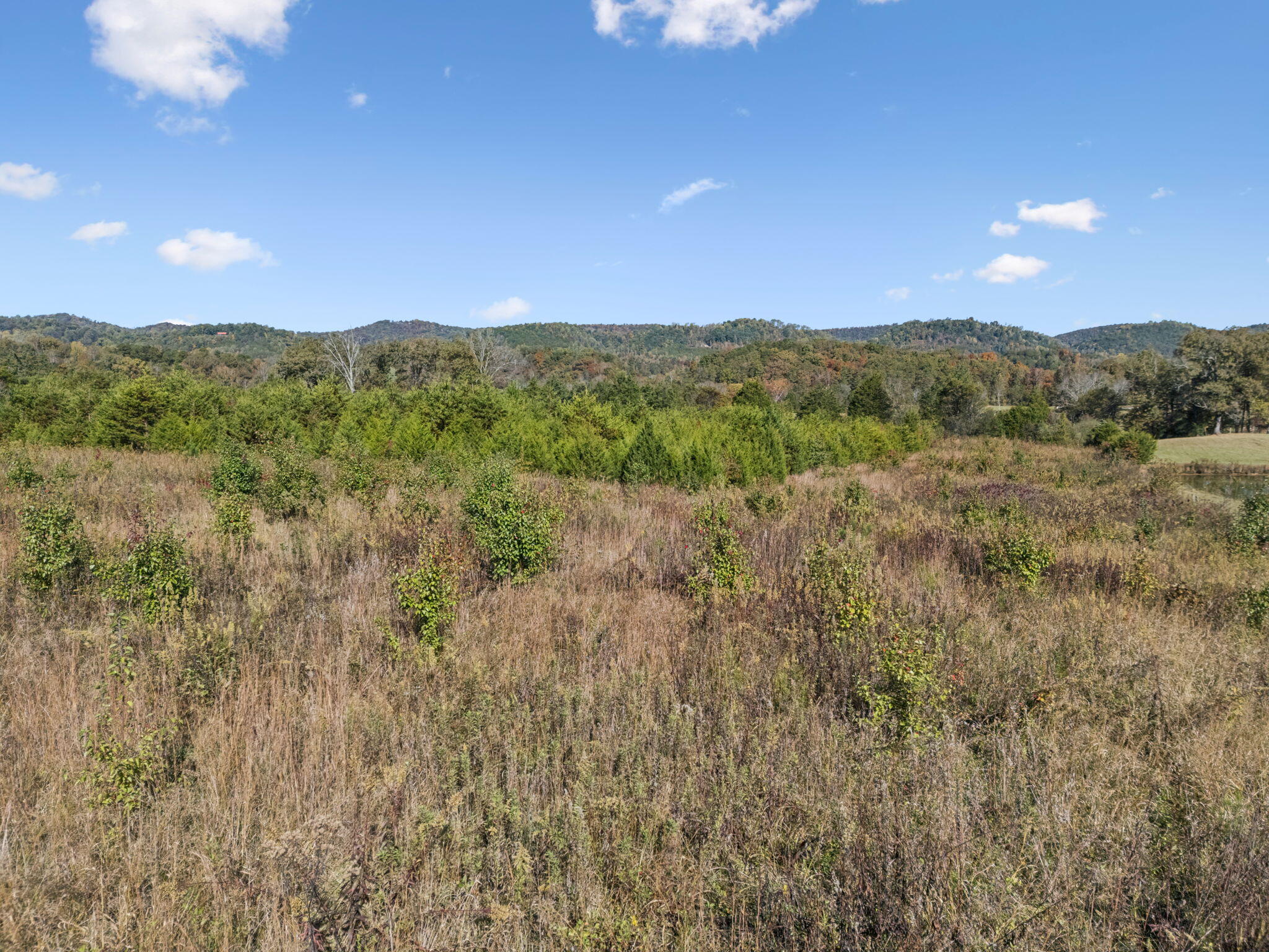 6.06 Old Sink Church Road, Tellico Plains