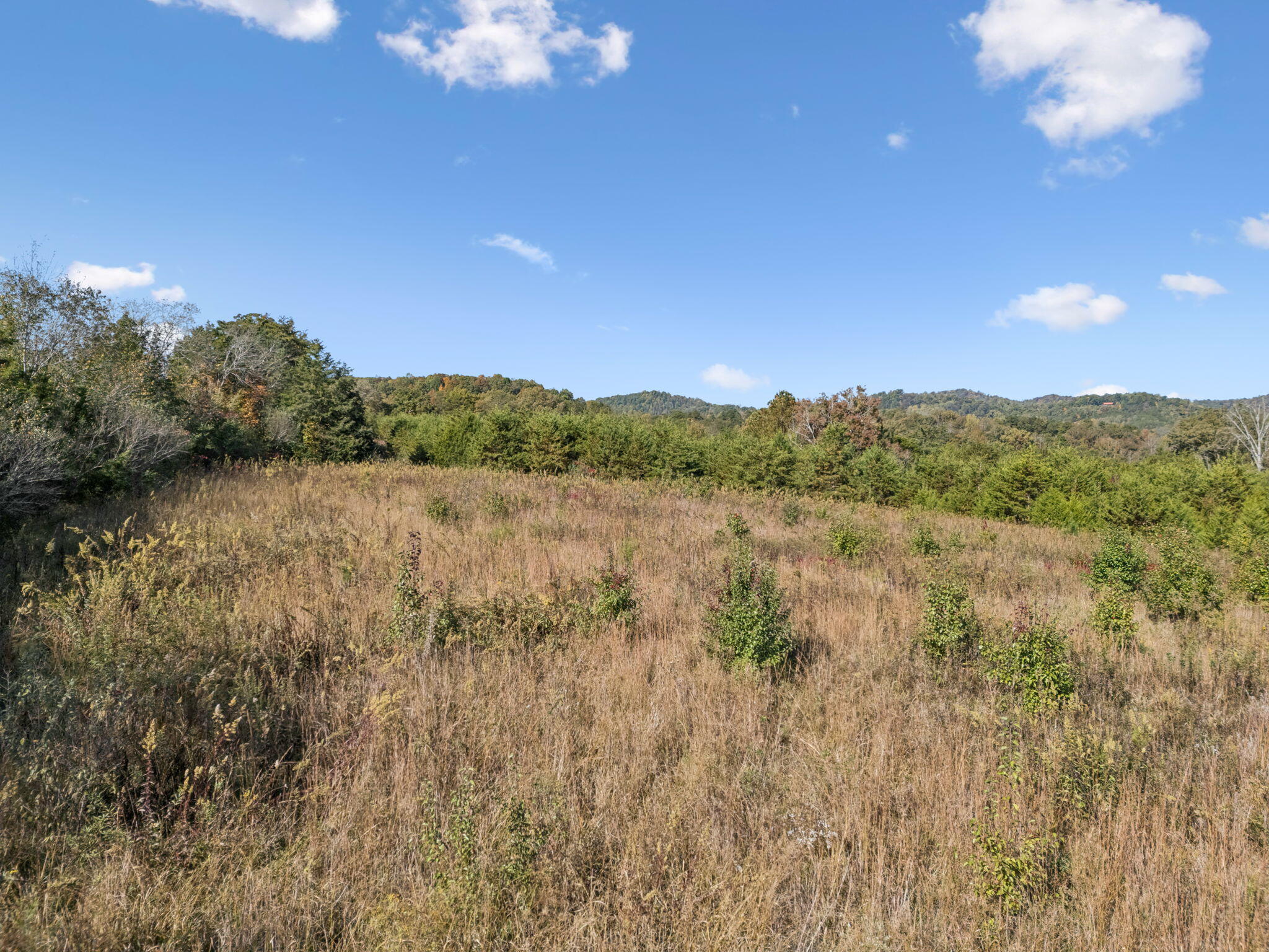 0 Old Sink Church Road, Tellico Plains