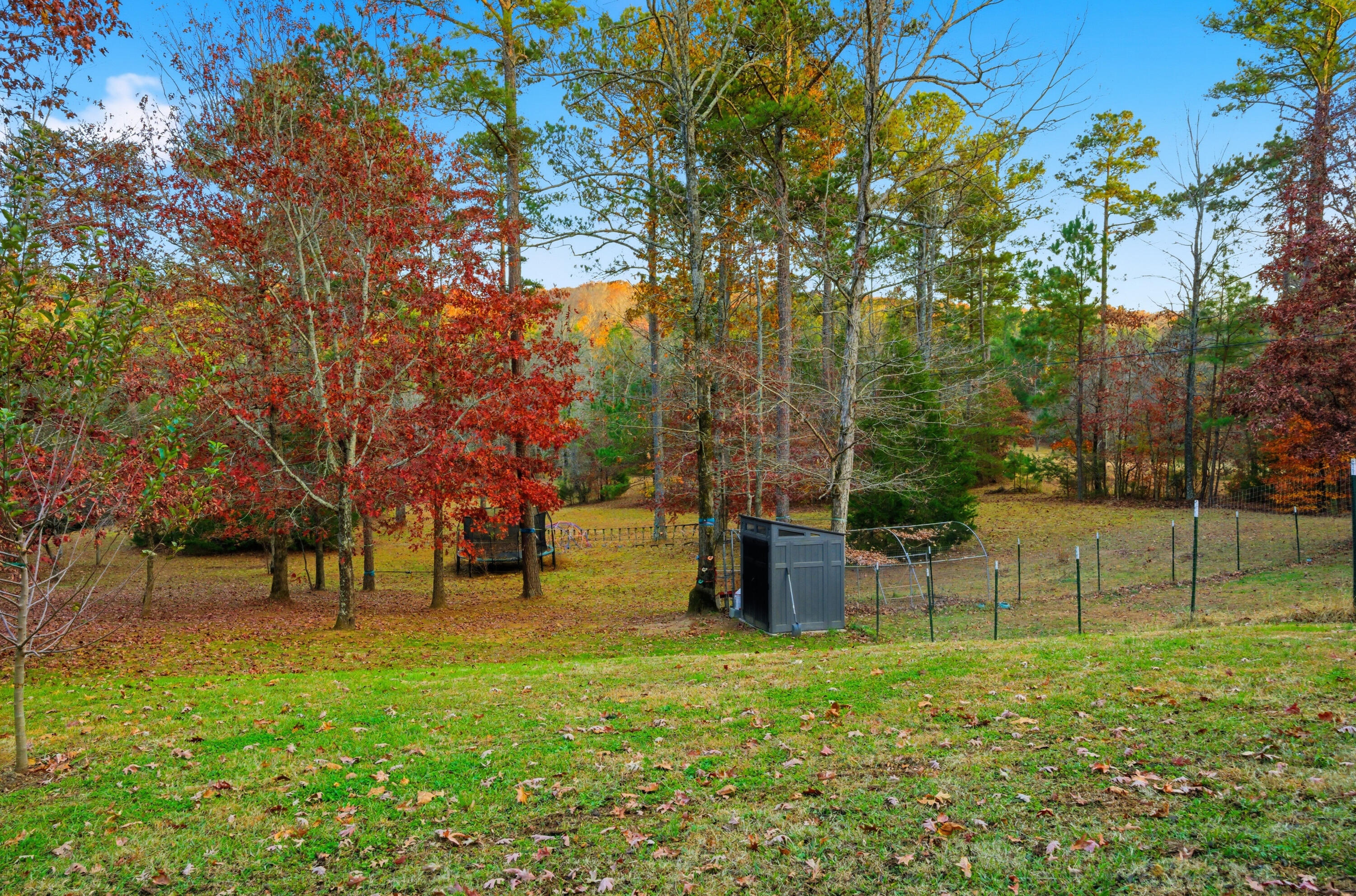 589 Johnston Road, McDonald