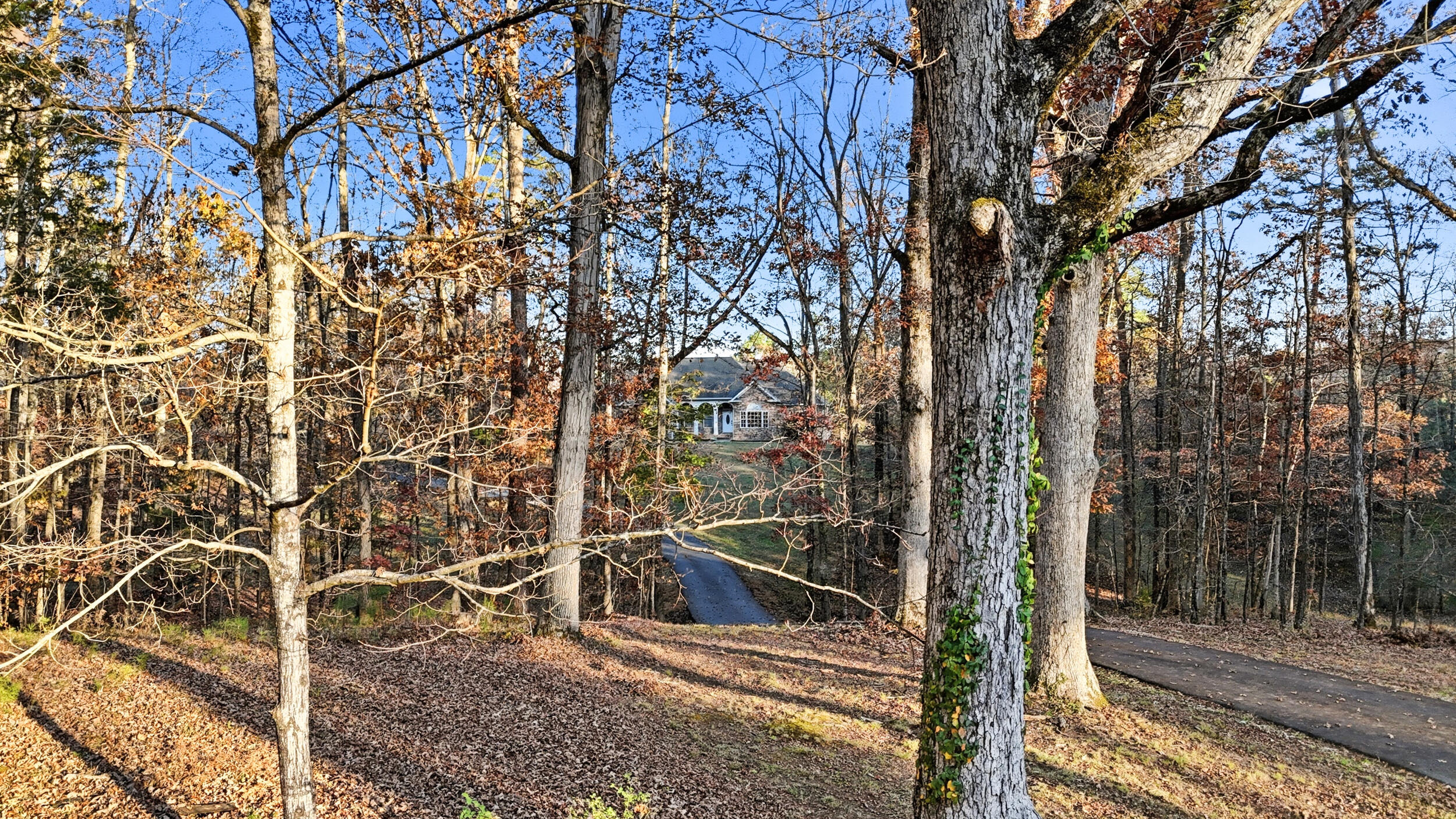 589 Johnston Road, McDonald