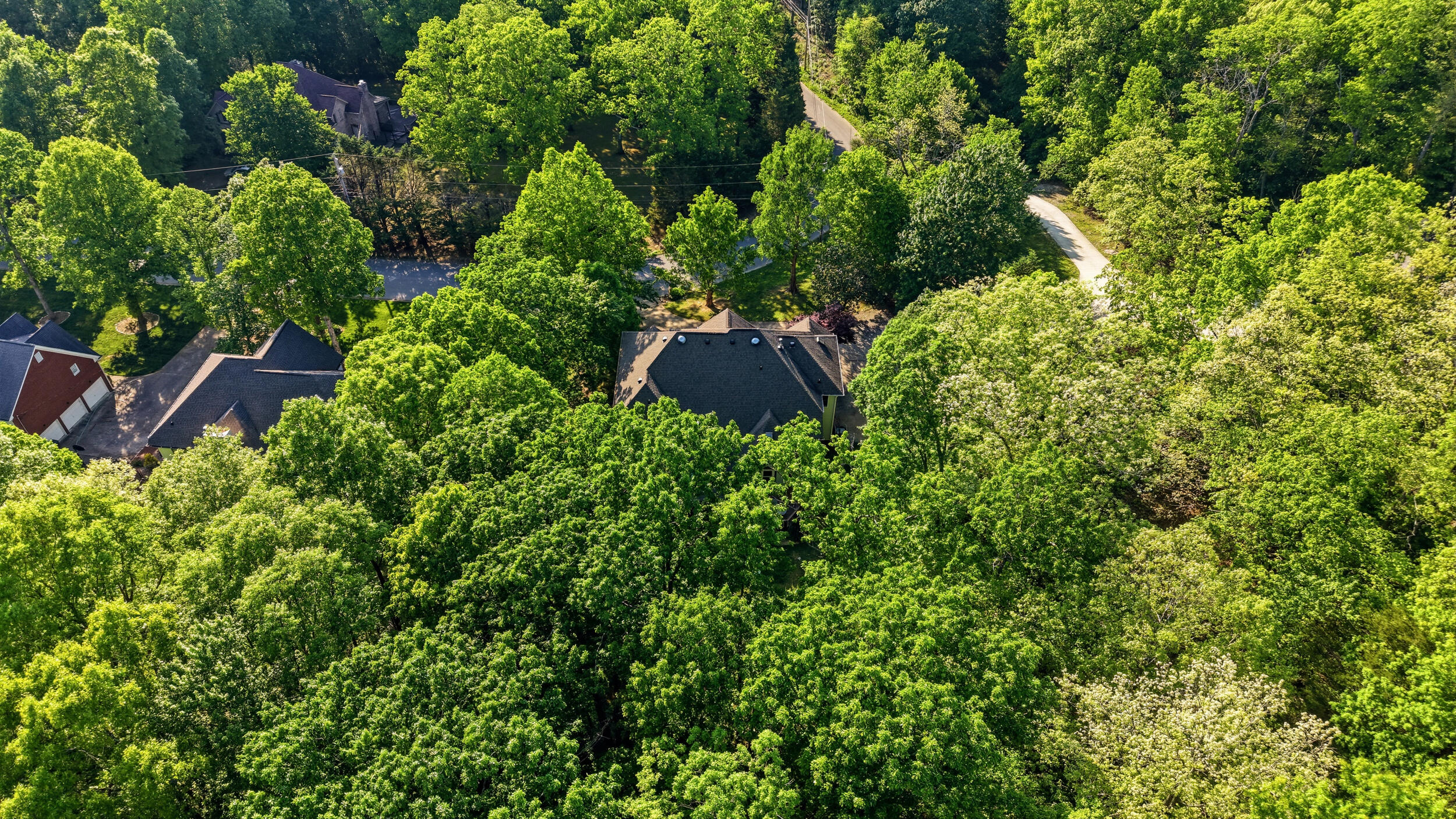 2928 Blue Teal Lane