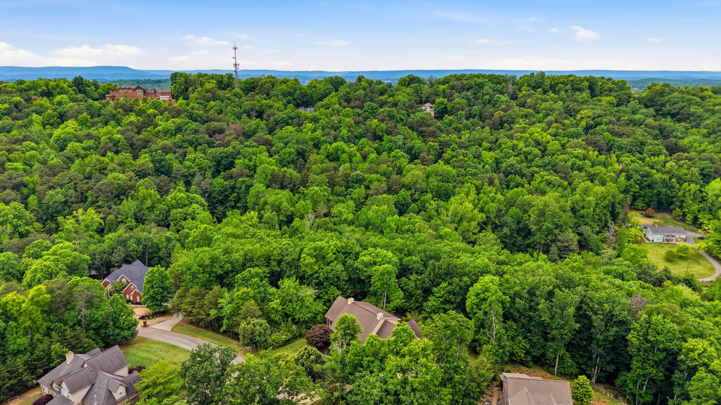 2519 Alpine Bluff Trail