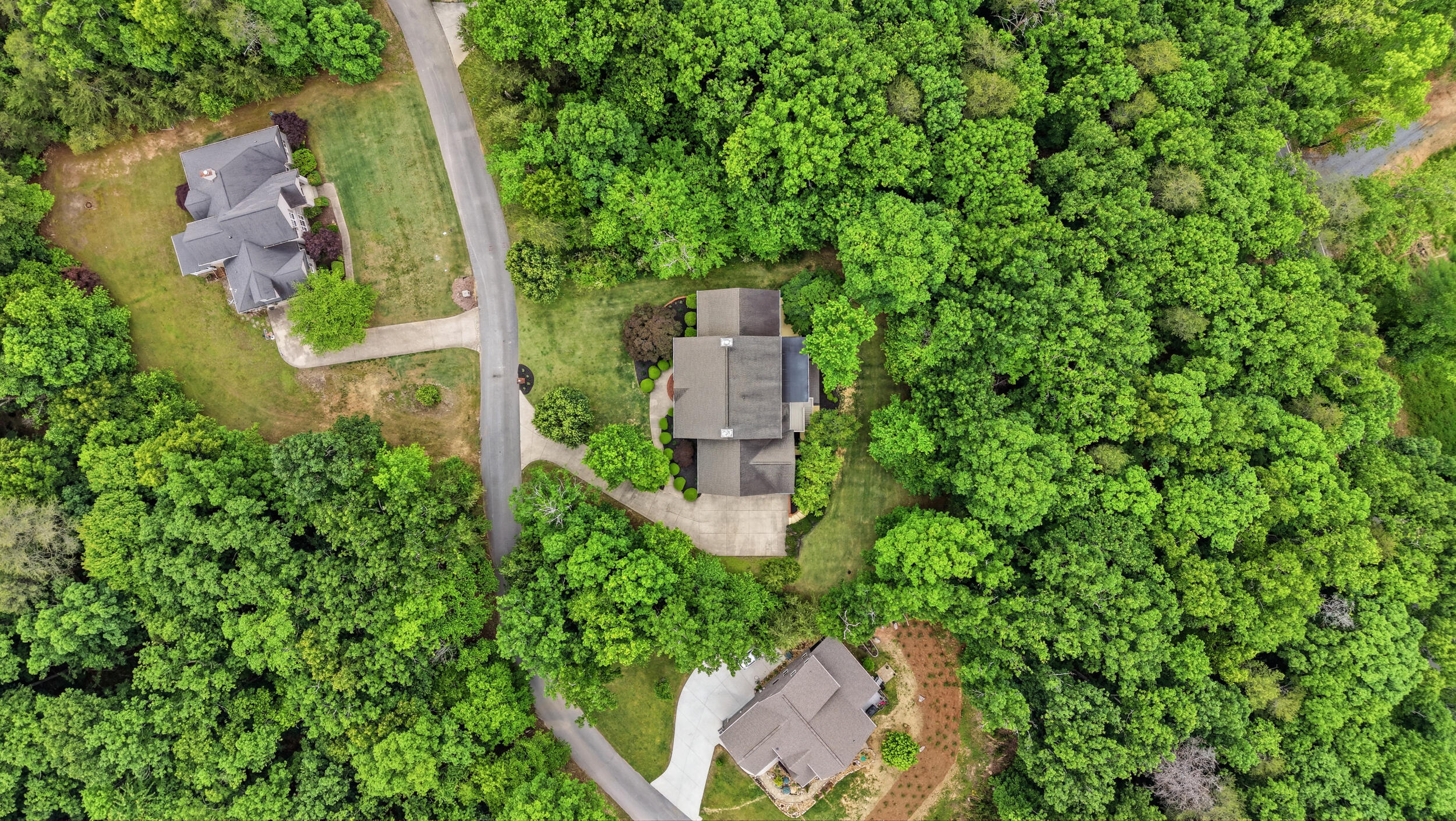 2519 Alpine Bluff Trail
