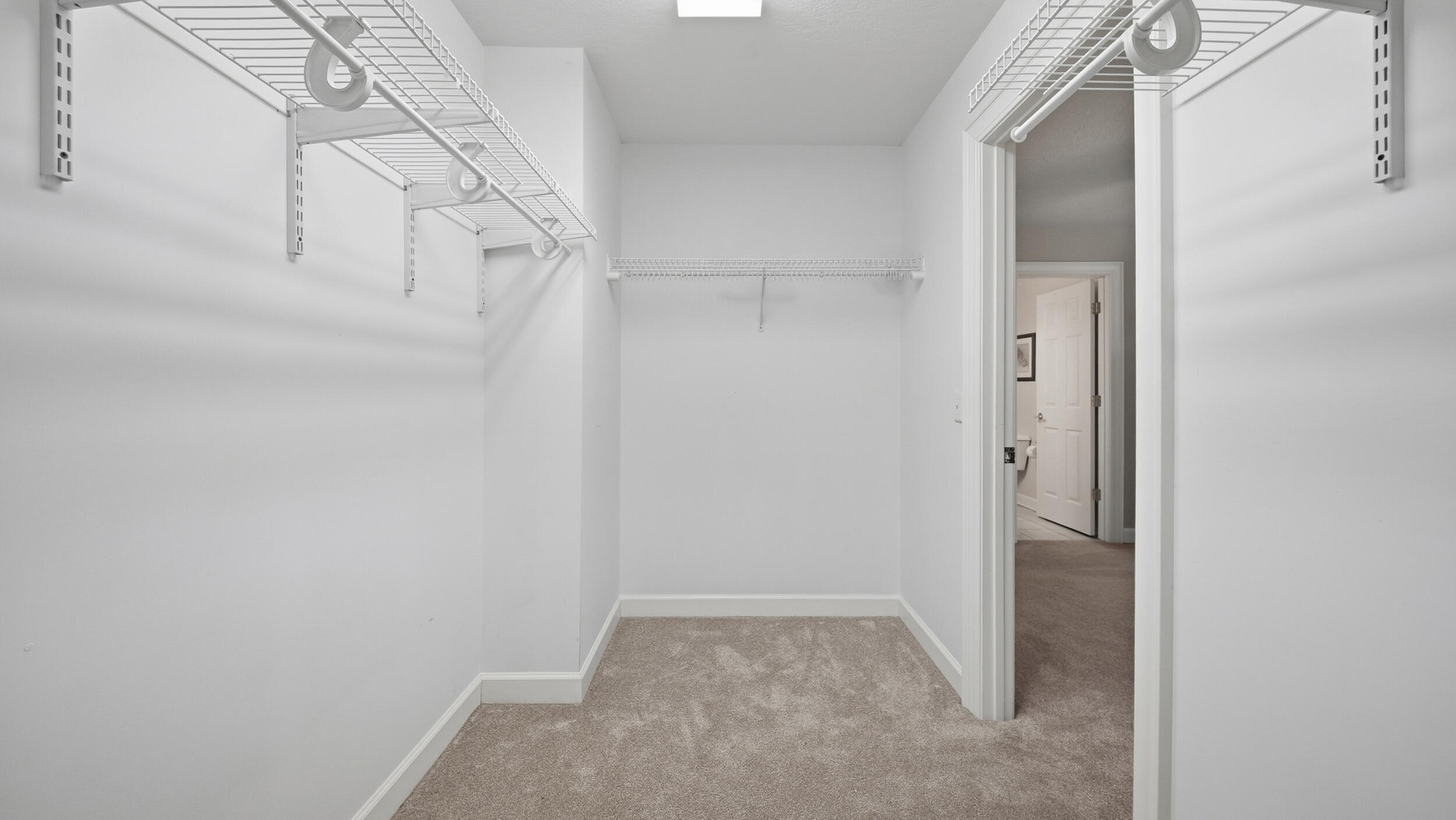 2519 Alpine Bluff Trail