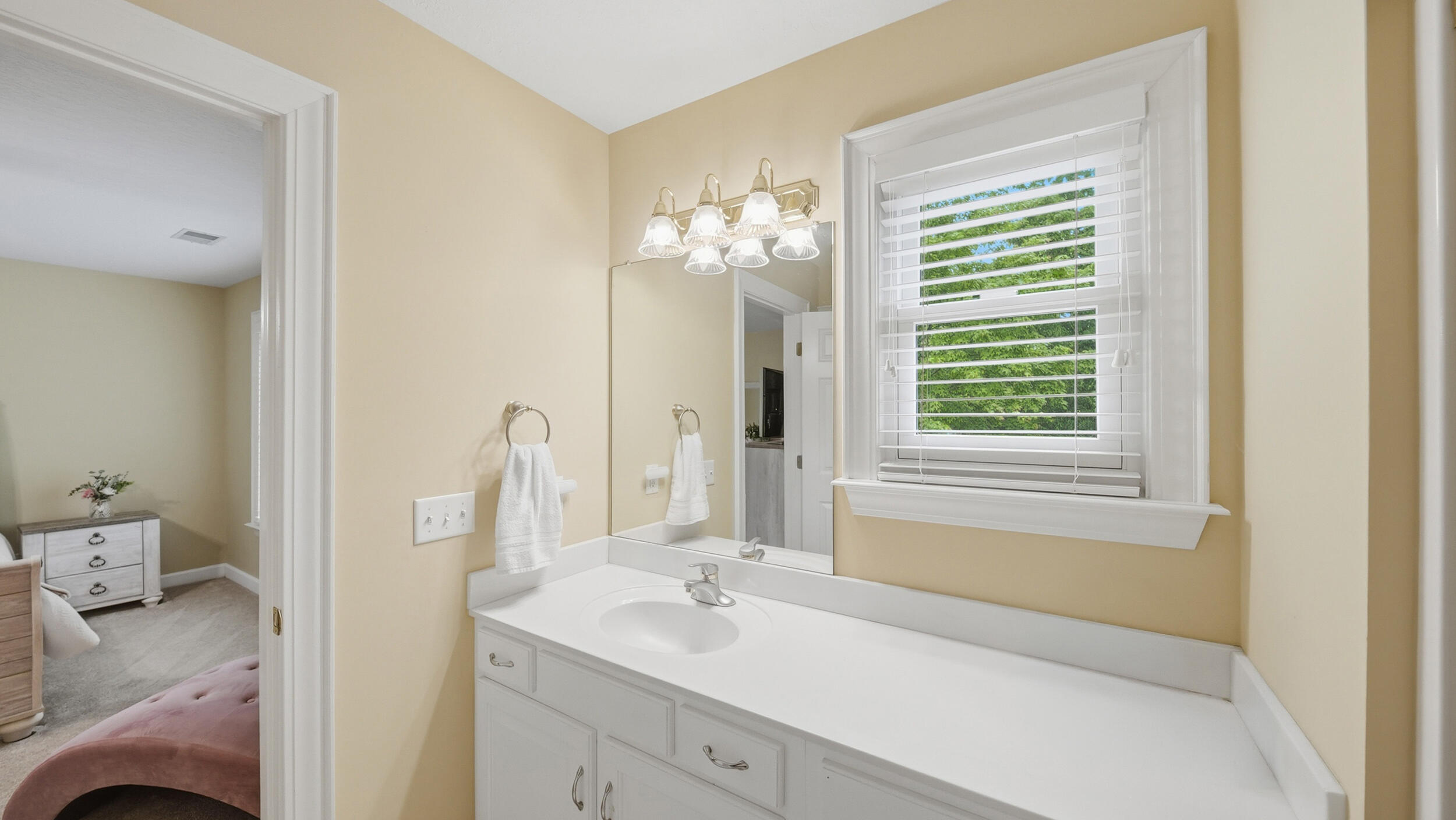 2519 Alpine Bluff Trail