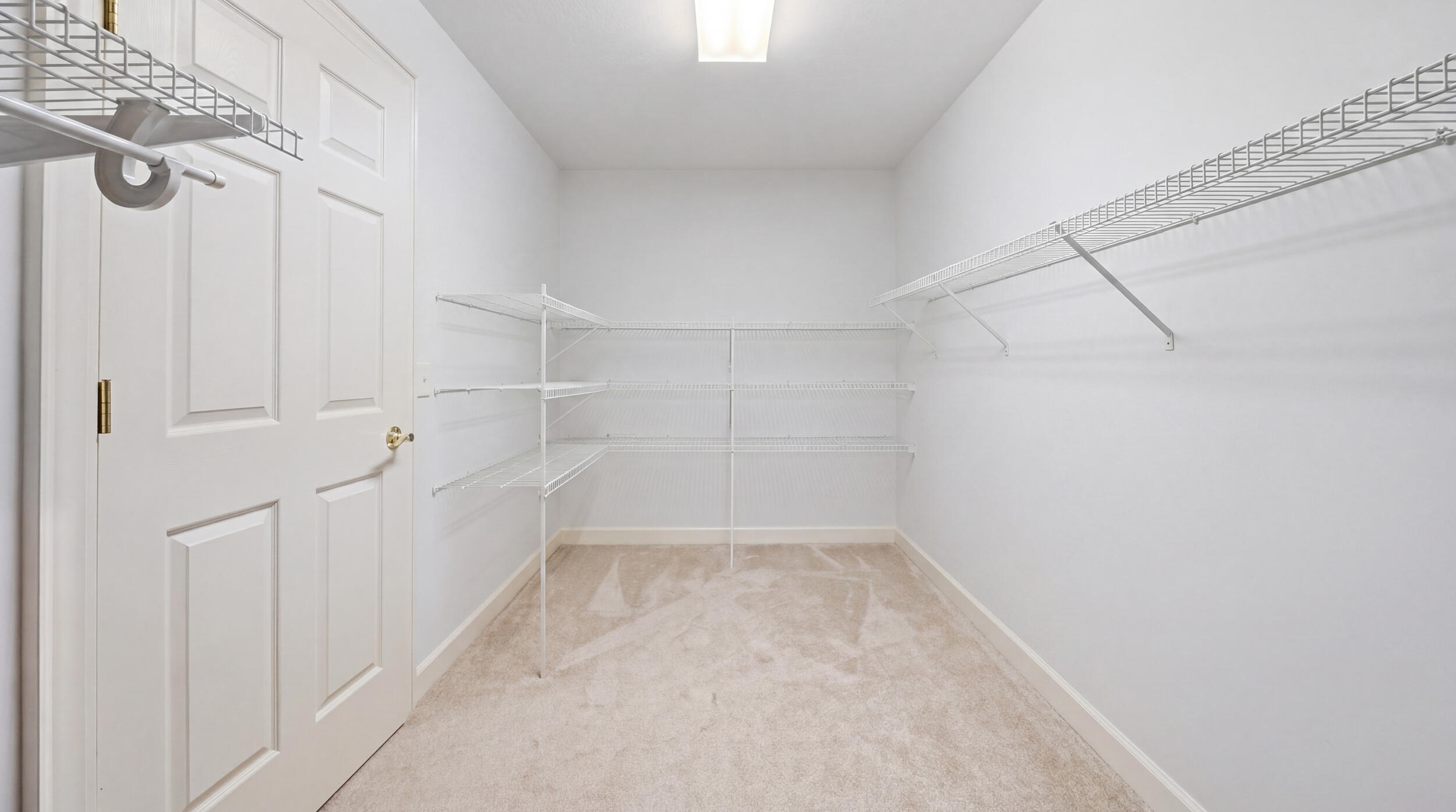 2519 Alpine Bluff Trail