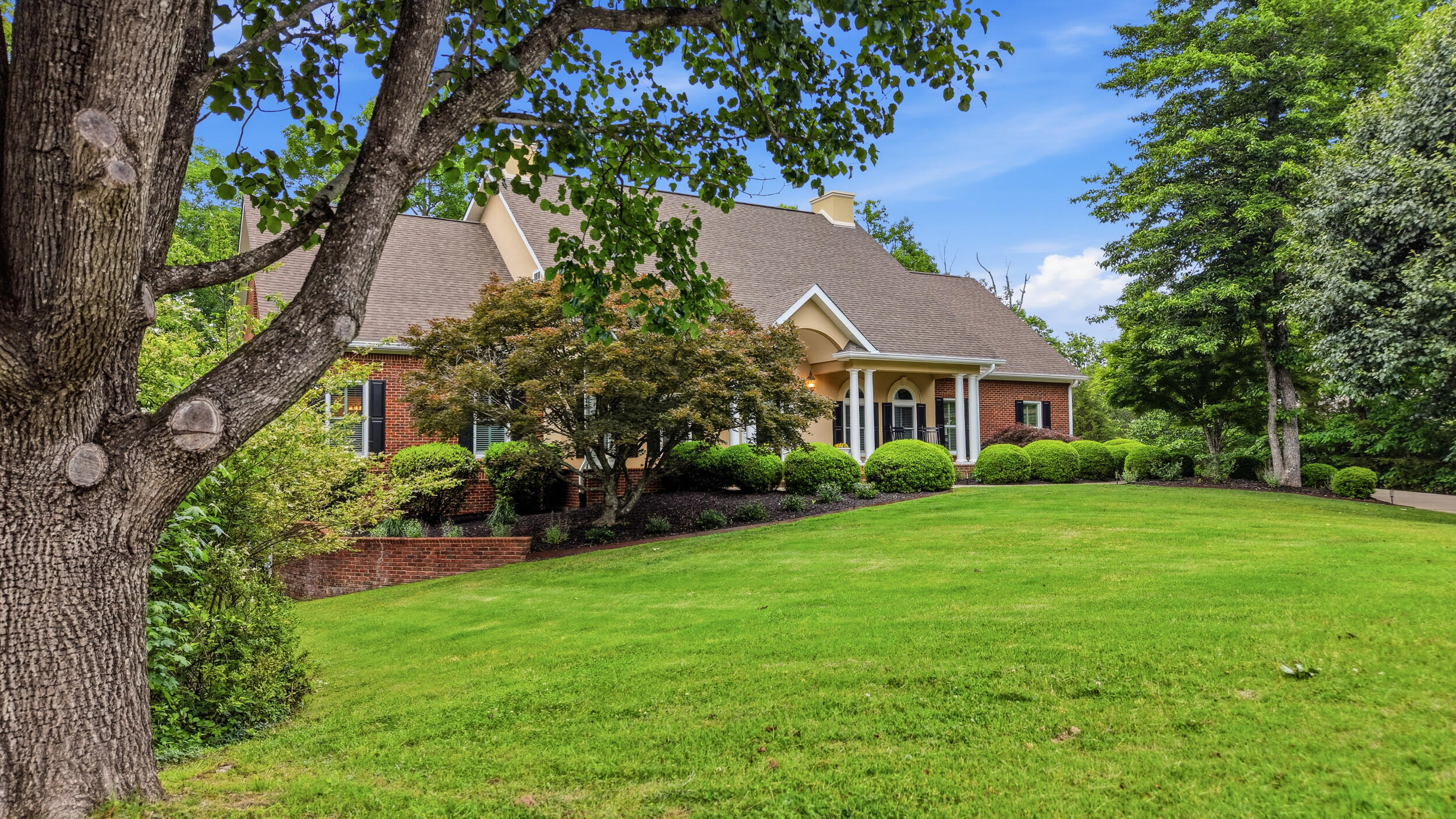 2519 Alpine Bluff Trail