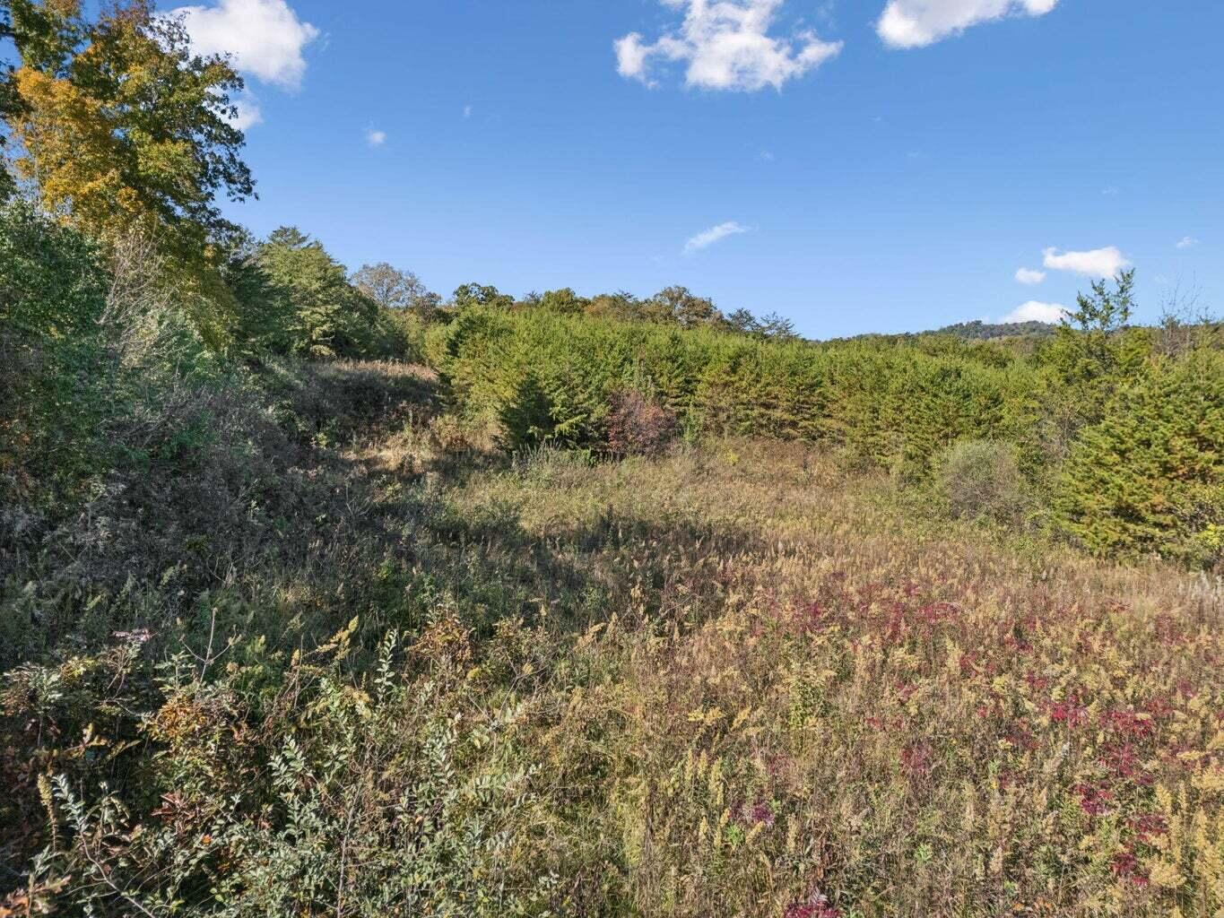 0 Cty Road 731, Lot 32