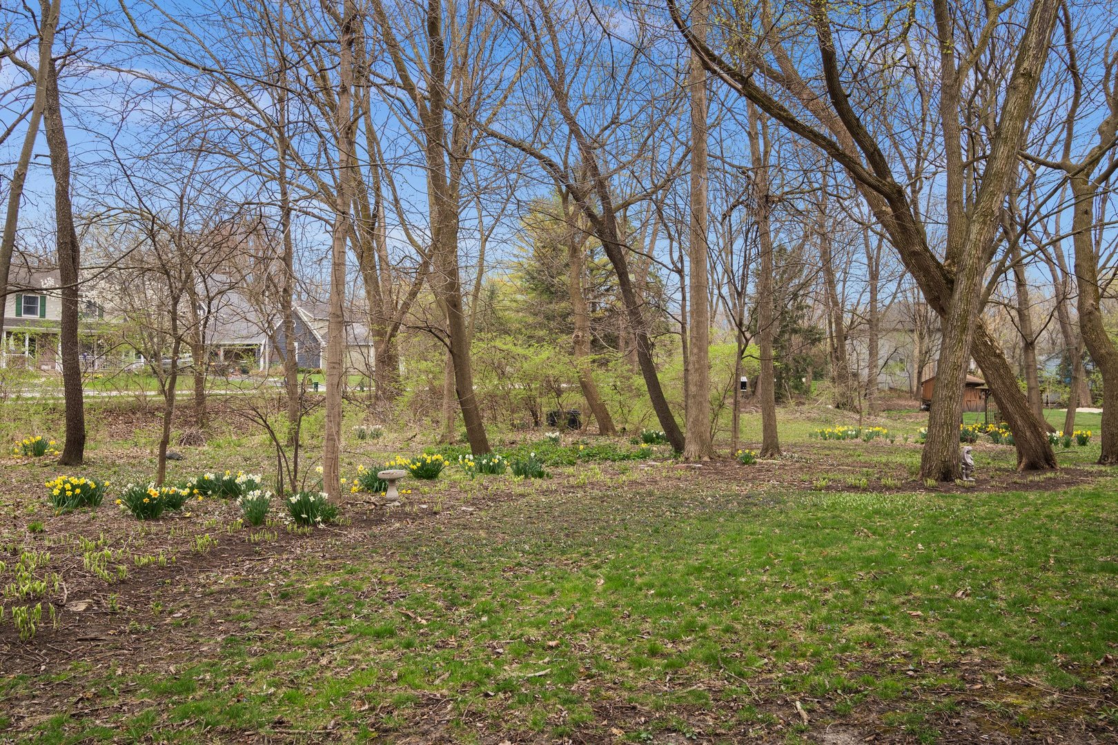 1156 Miller Court
