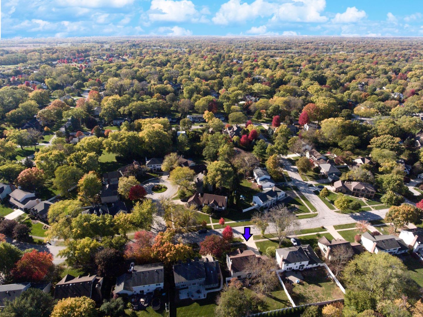 2S481 White Birch Lane