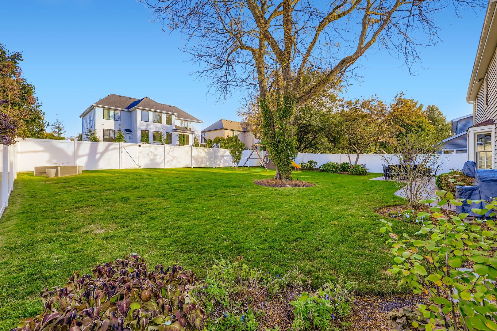 2S481 White Birch Lane