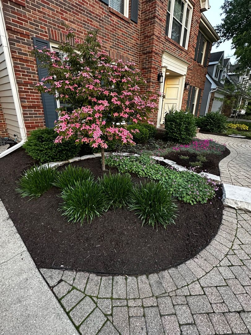 2S481 White Birch Lane