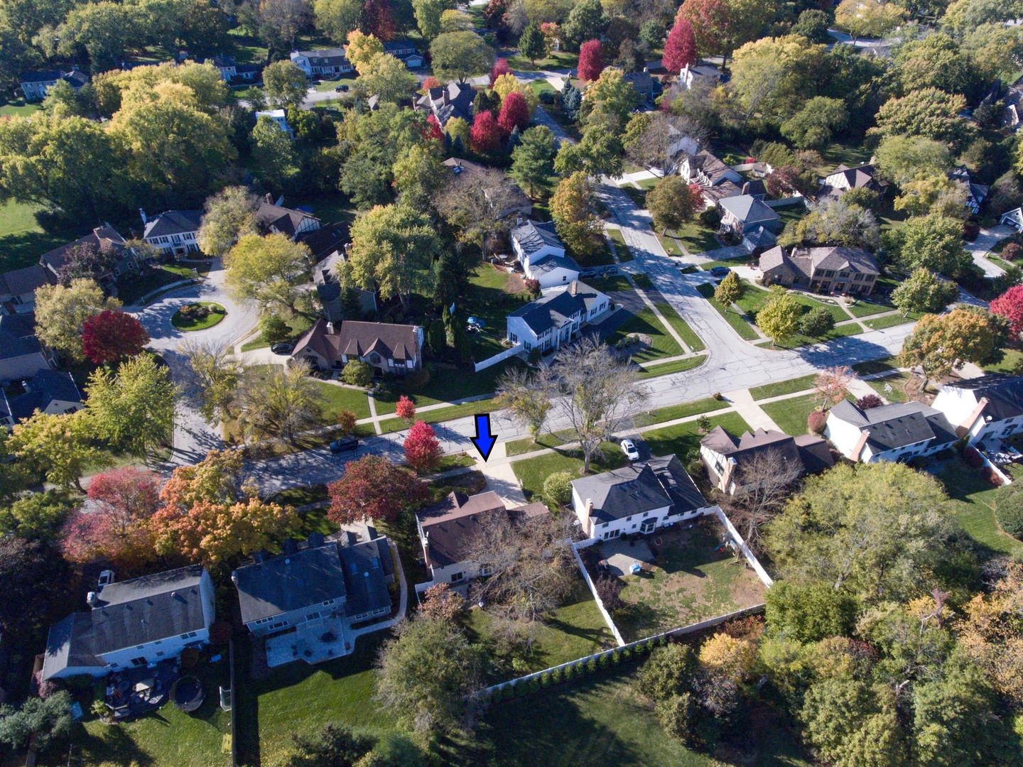 2S481 White Birch Lane