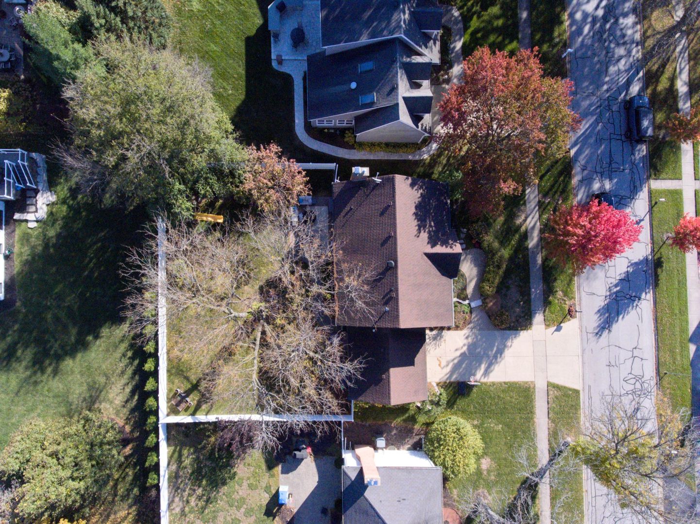 2S481 White Birch Lane