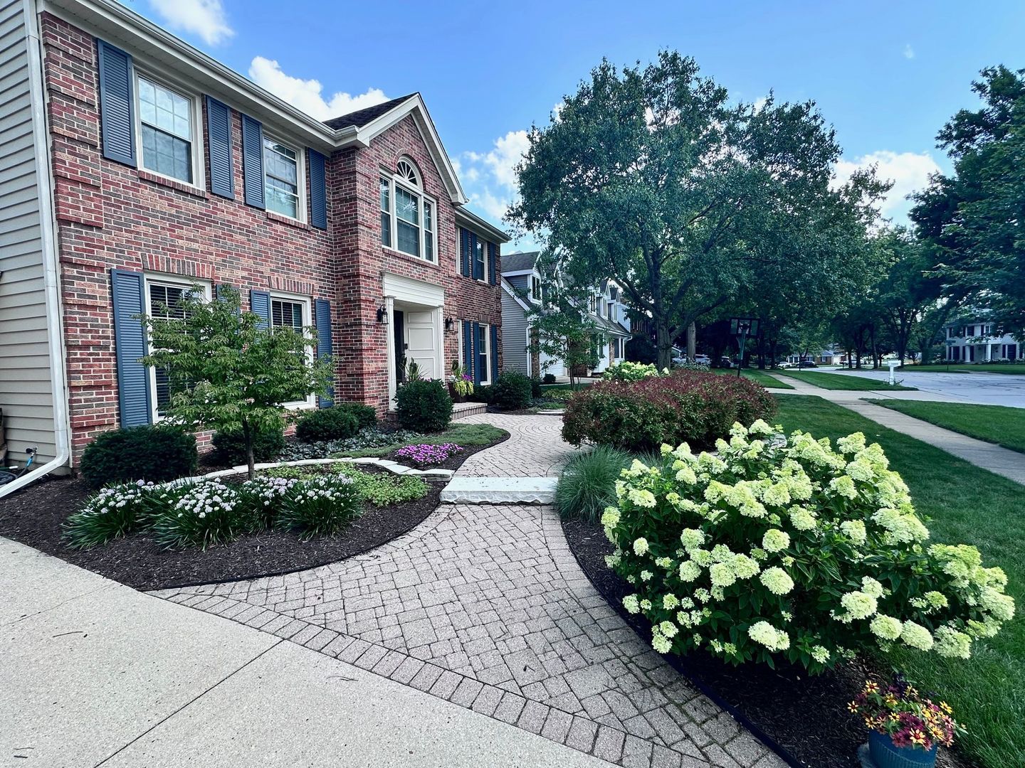 2S481 White Birch Lane