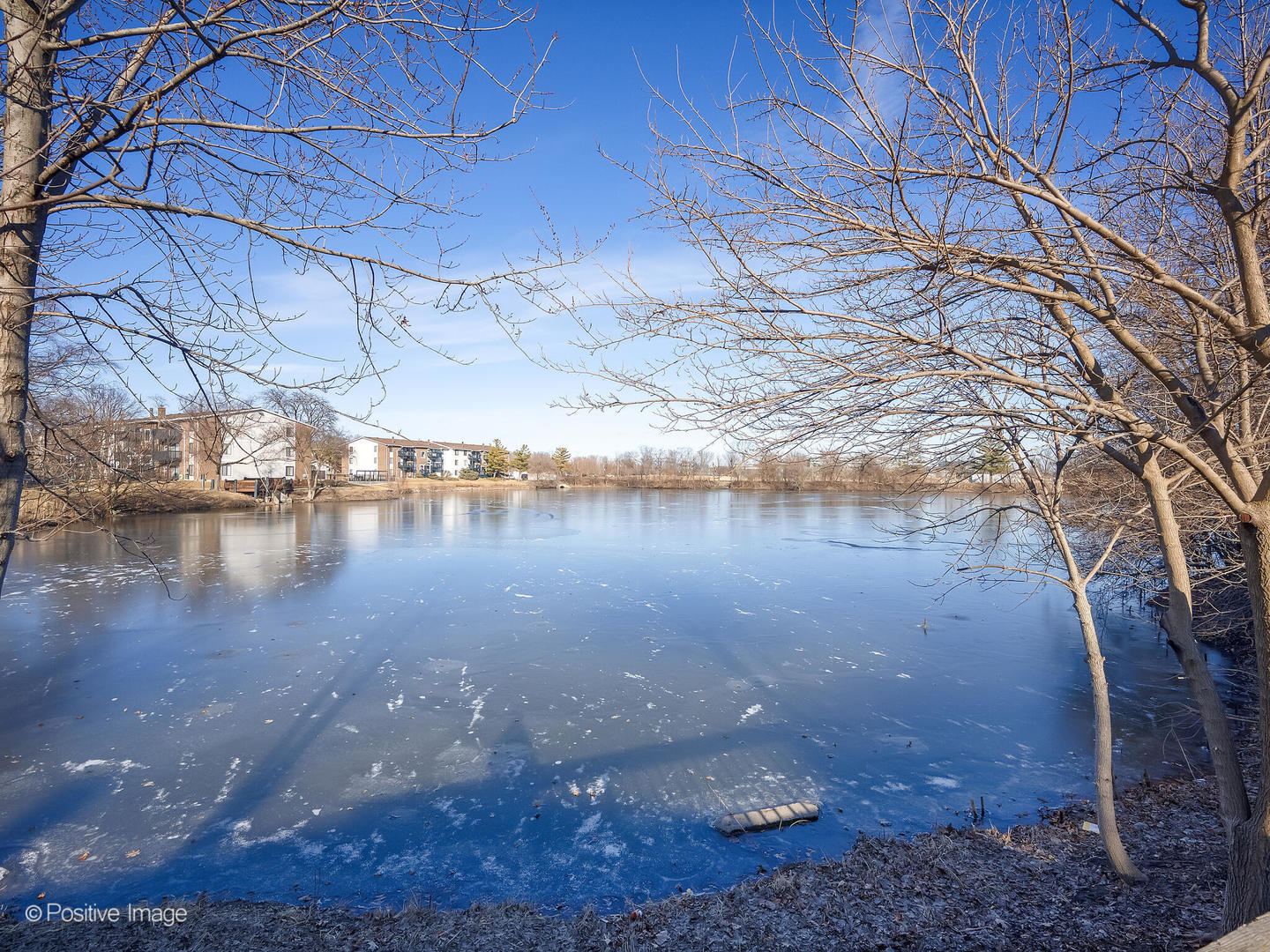 1705 Lakecliffe Drive Unit: D