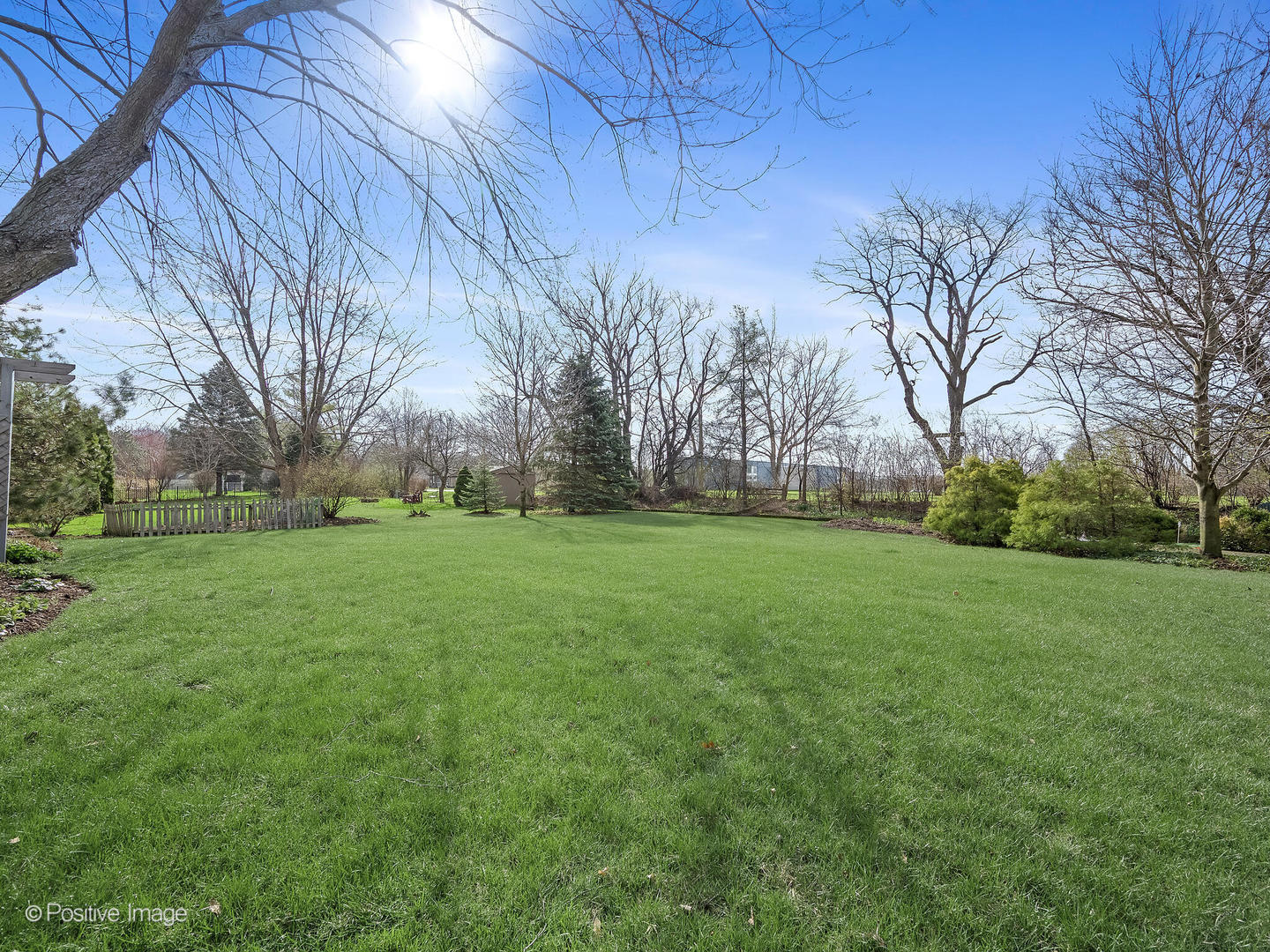 230 Plumtree Lane