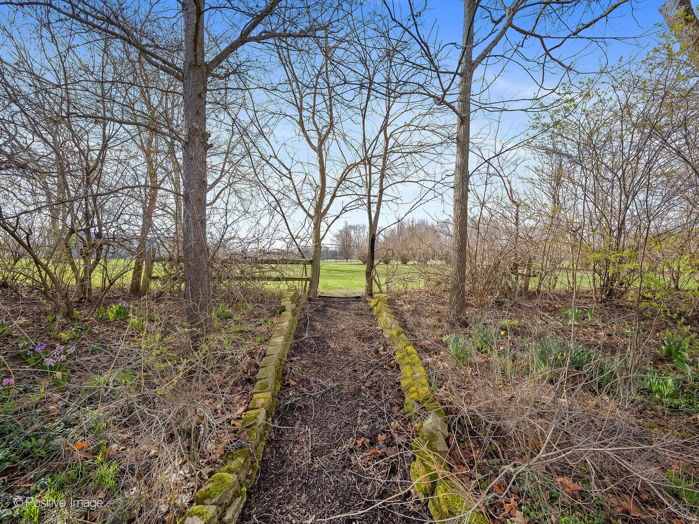 230 Plumtree Lane