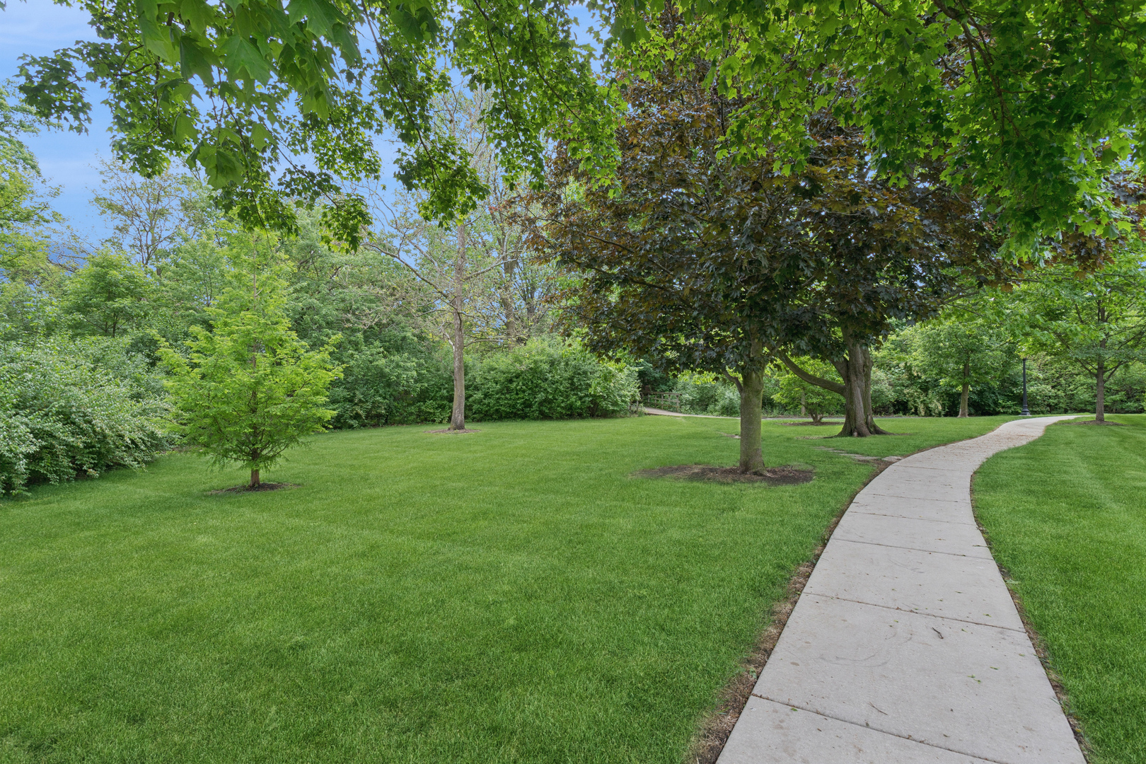 19 Wintergreen Court