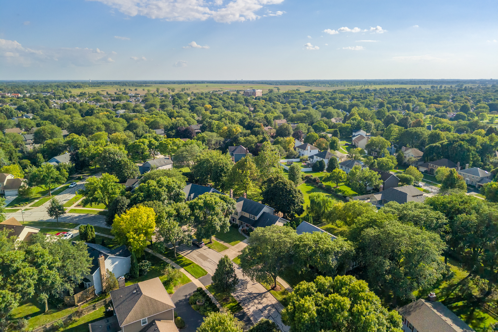 841 Buttonwood Circle