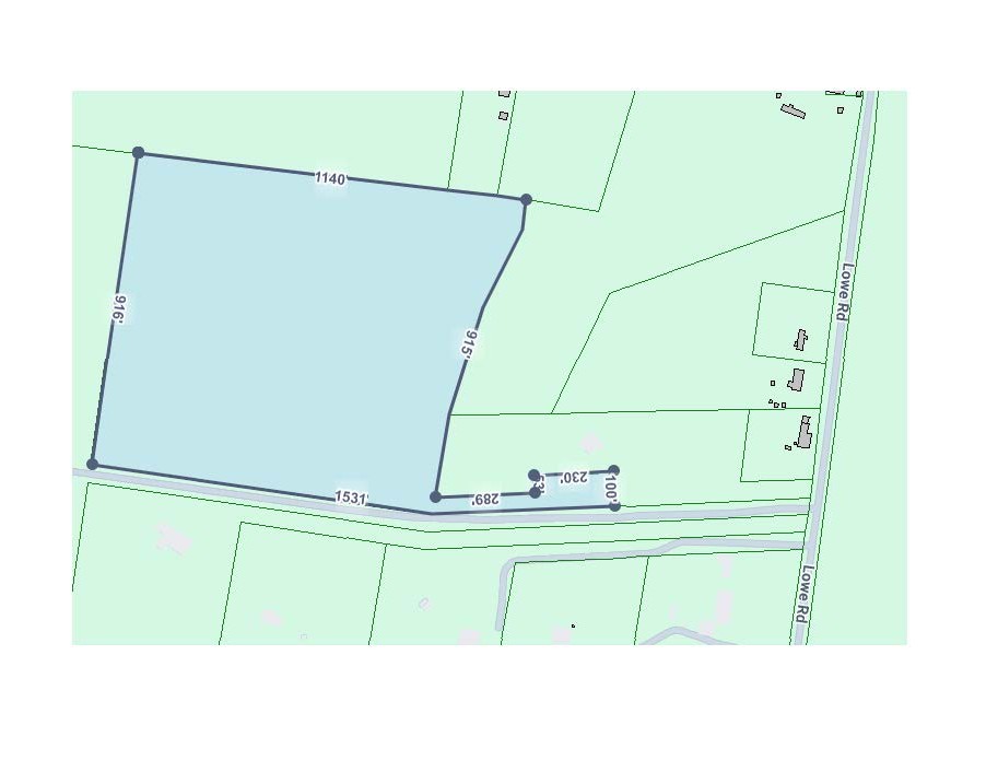 7787 Lowe Christiana Rd