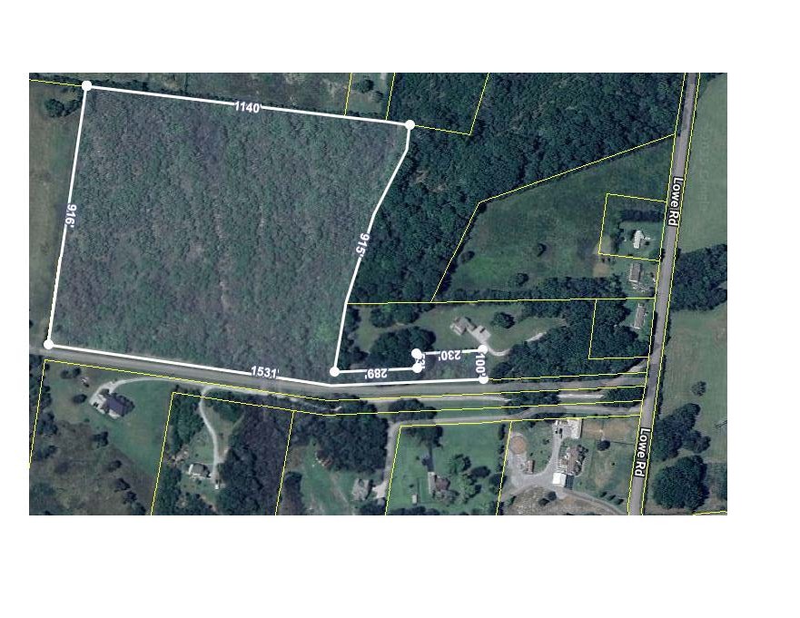 7787 Lowe Christiana Rd