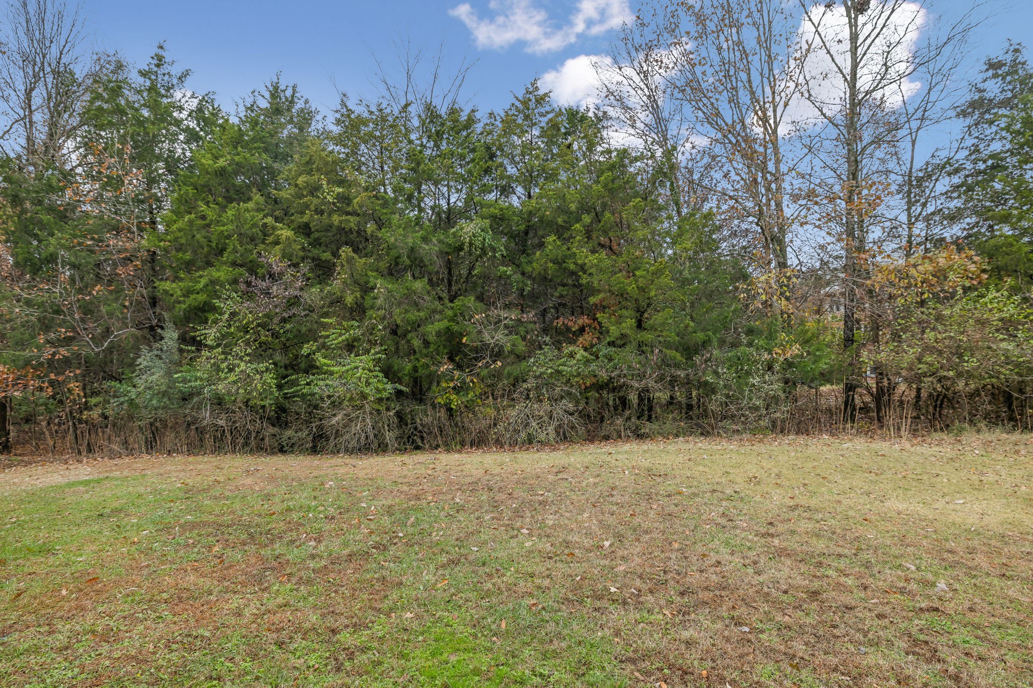 2921 Cherrybark Ct