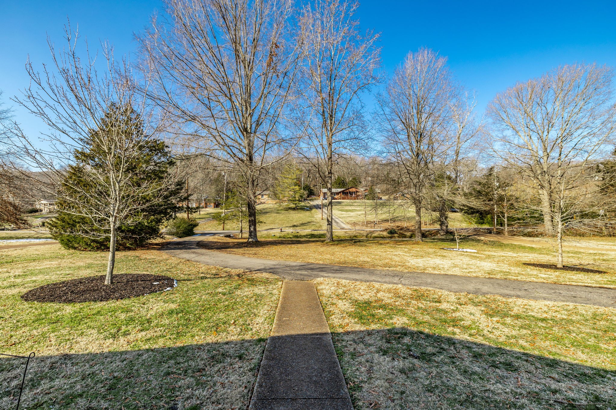 828 Rodney Dr