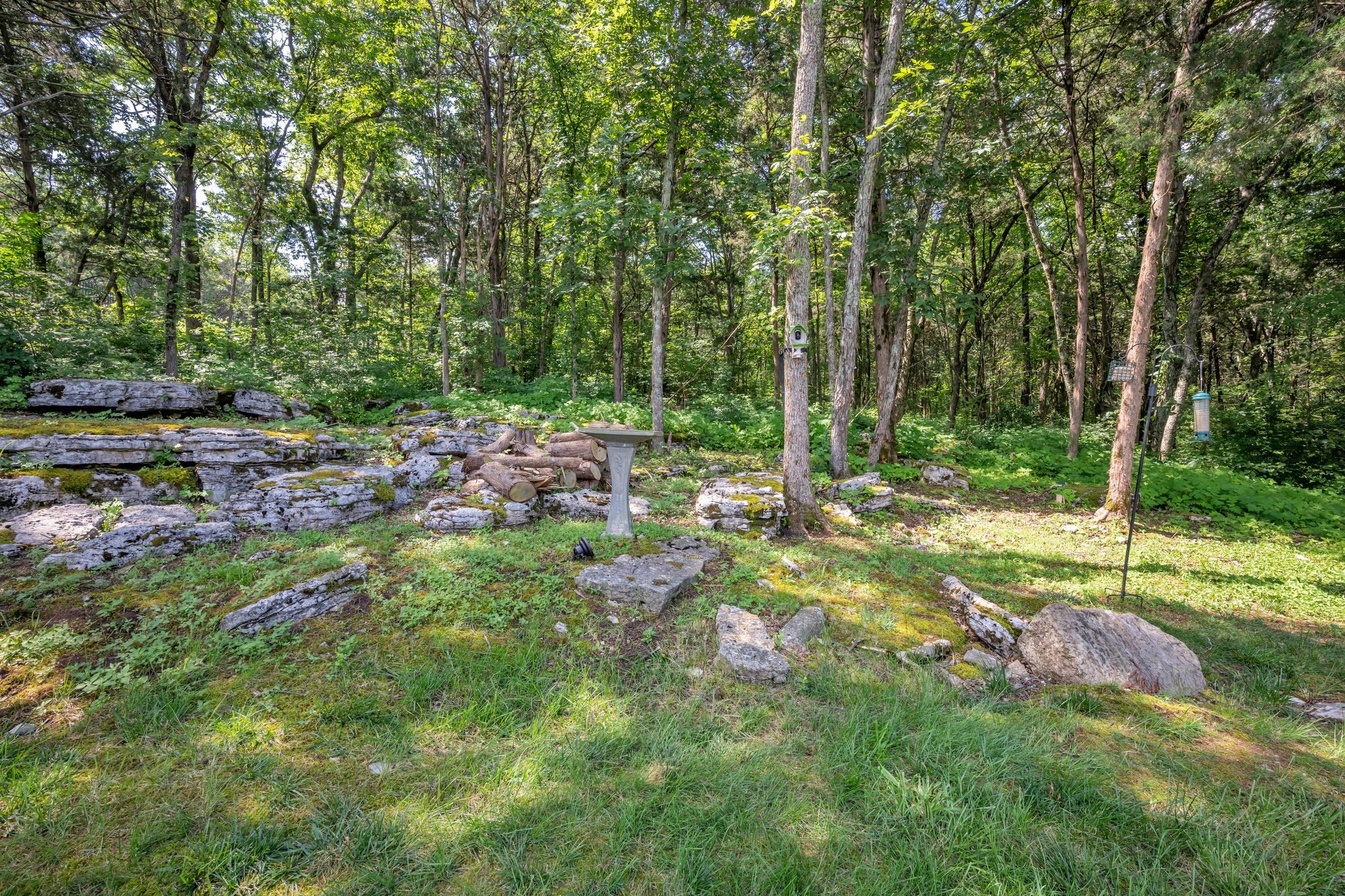 119 Ridgebend Dr