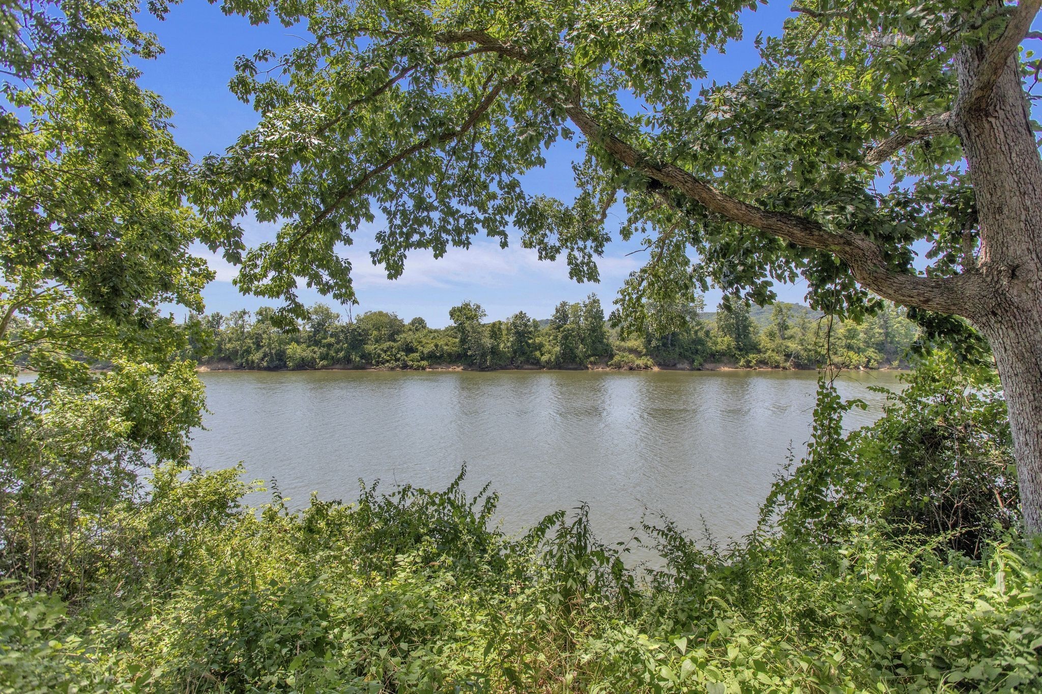 515 Basswood Ave Unit: 69