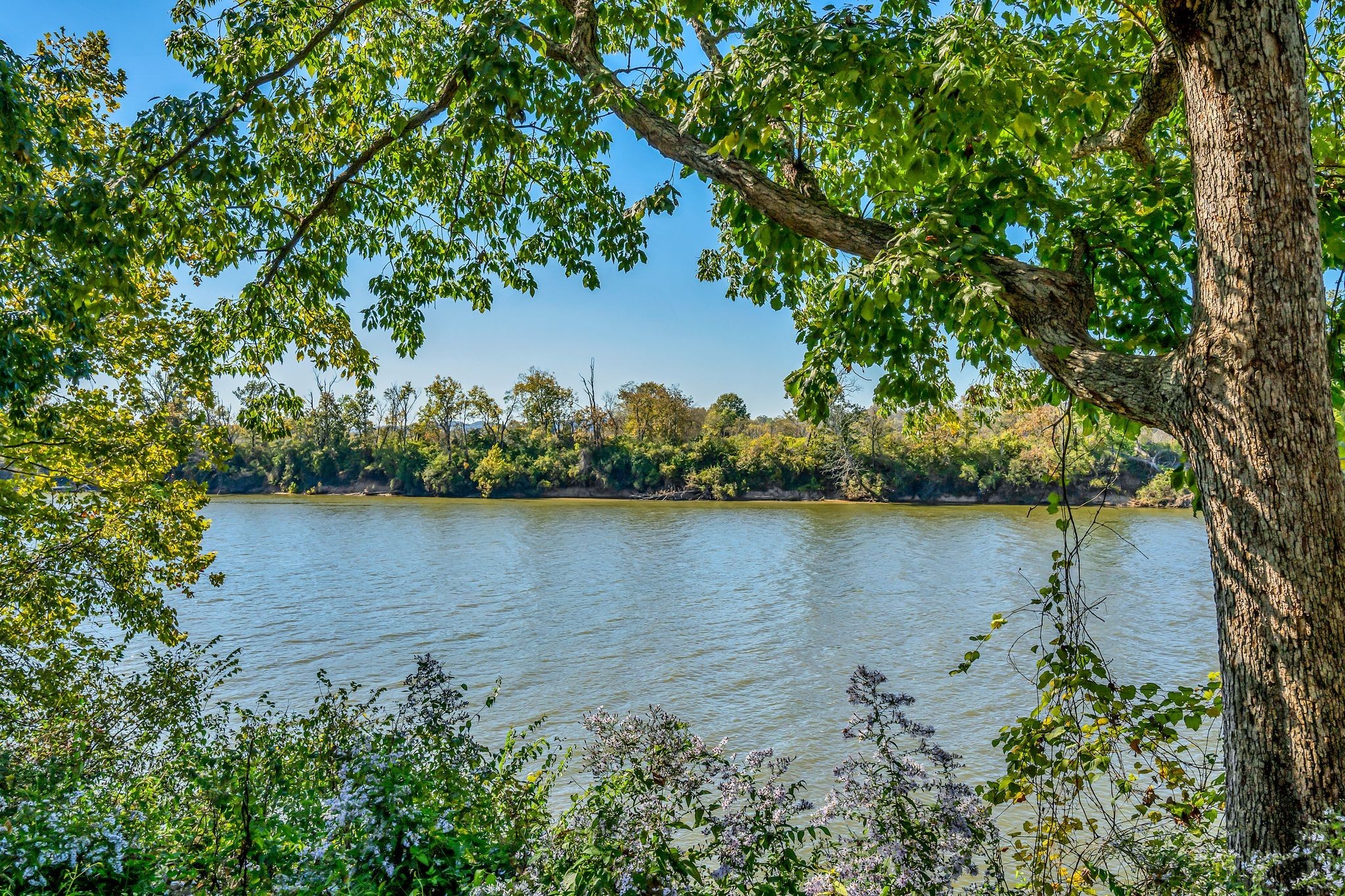 515 Basswood Ave Unit: 69