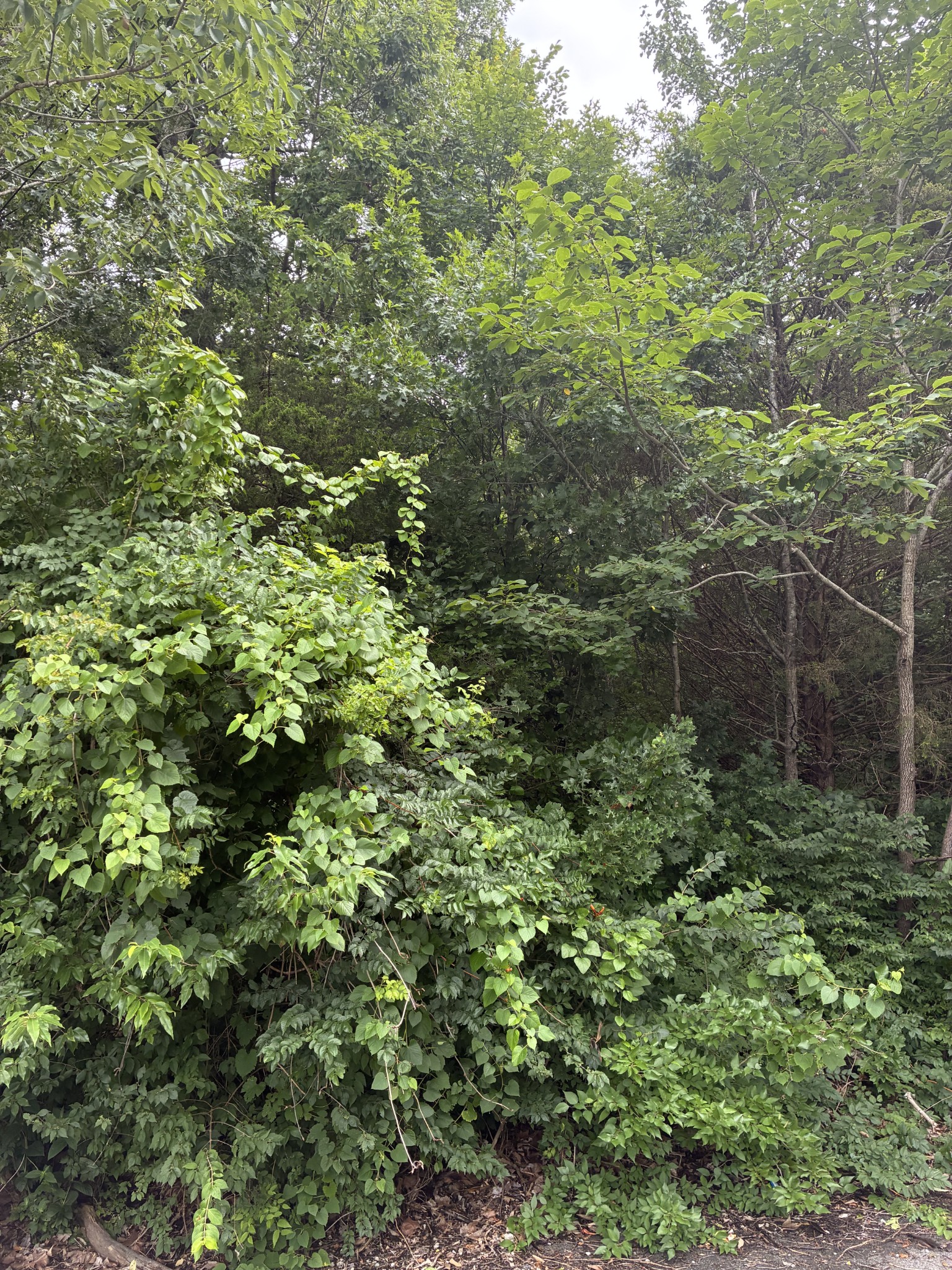 686 Putnam Dr