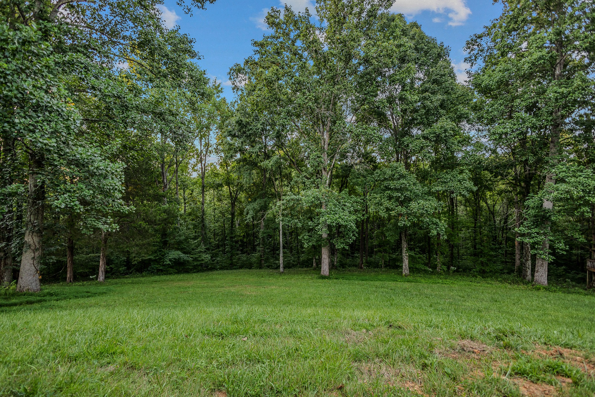 7871 Oscar Green Rd
