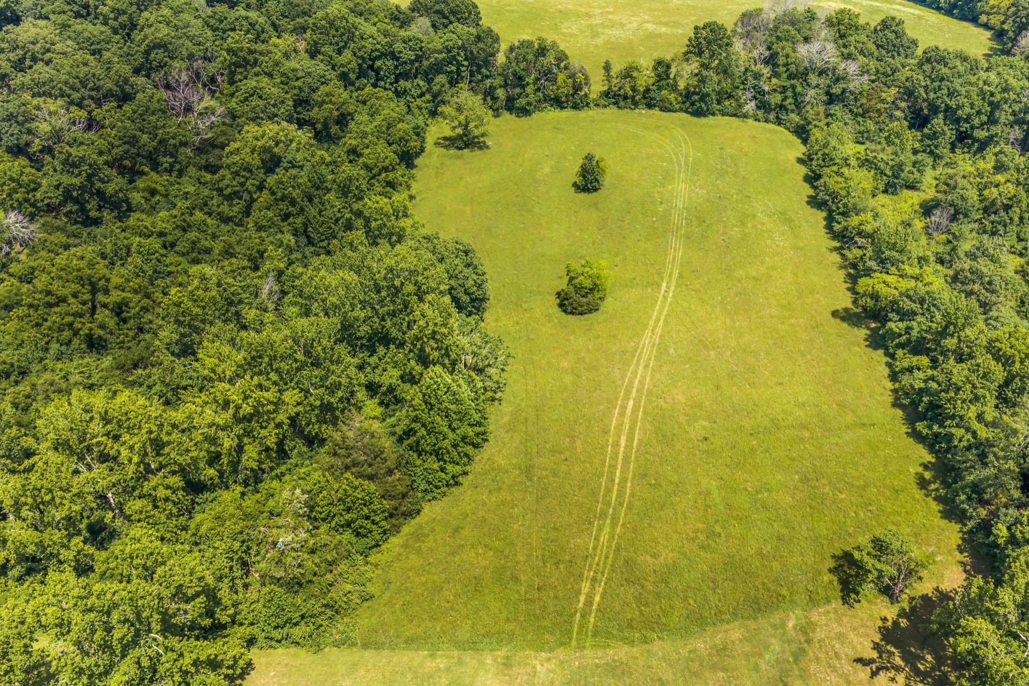 1204 Madison Creek Rd