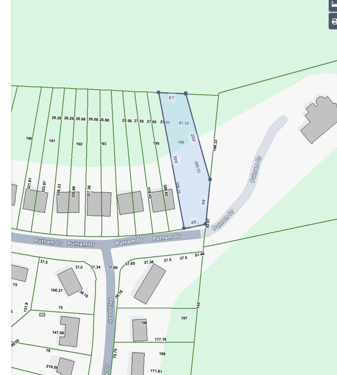 Parcel map highlighting lot 196 along Putnam Drive, with nearby lot boundaries and building footprints.