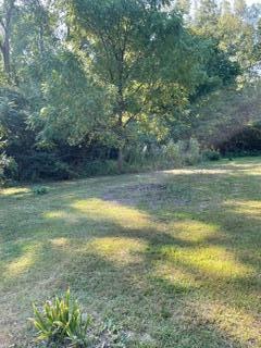 Parcel C-1 Wyndwicke Drive & M-139, St. Joseph