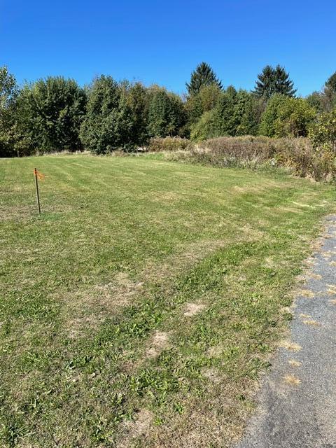 Parcel 2-B Niles Road/M-63, St. Joseph