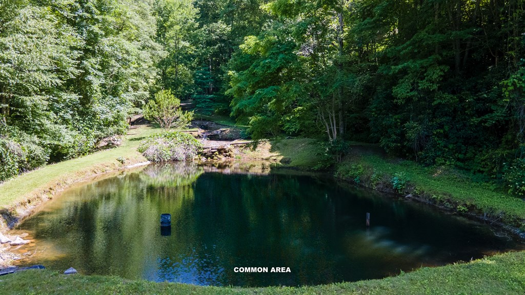 425 Franklin Branch Road