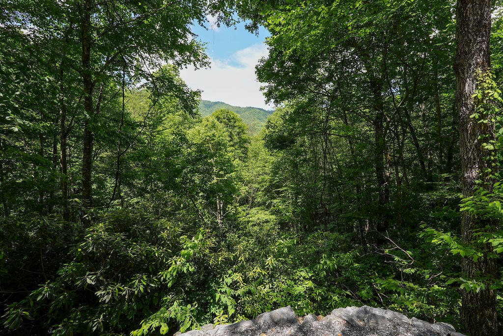 425 Franklin Branch Road