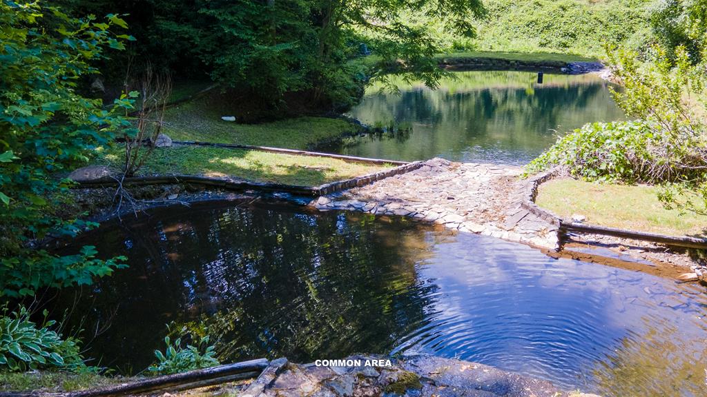 425 Franklin Branch Road