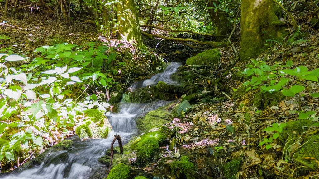 425 Franklin Branch Road