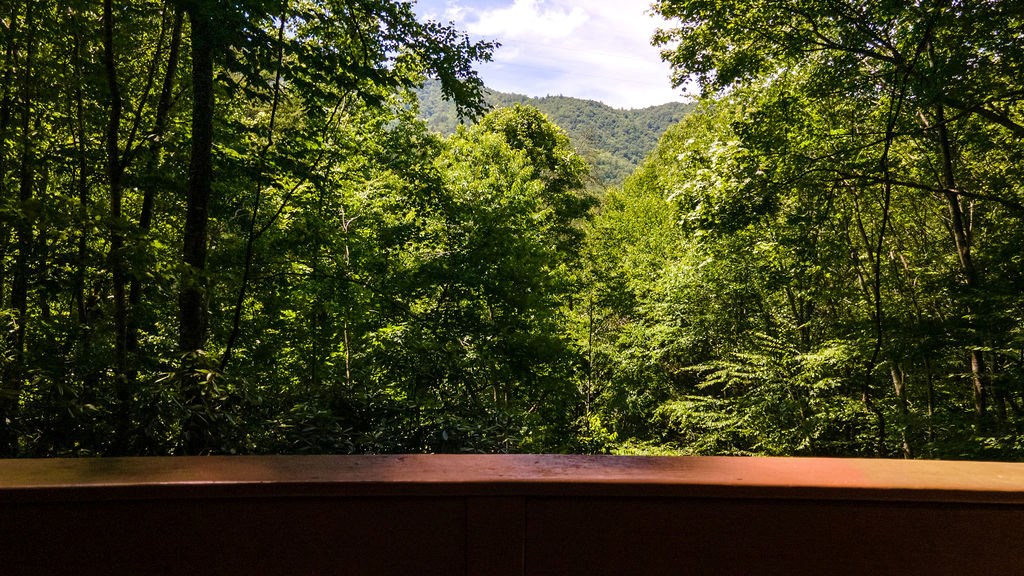 425 Franklin Branch Road