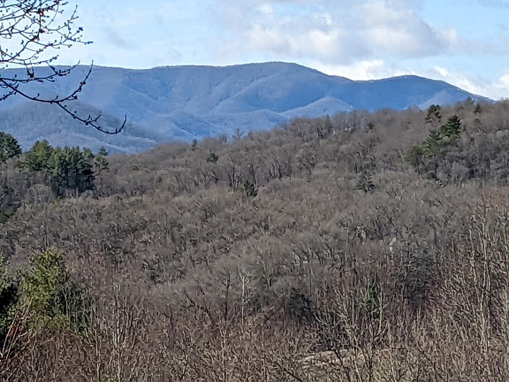 23 East Trace
