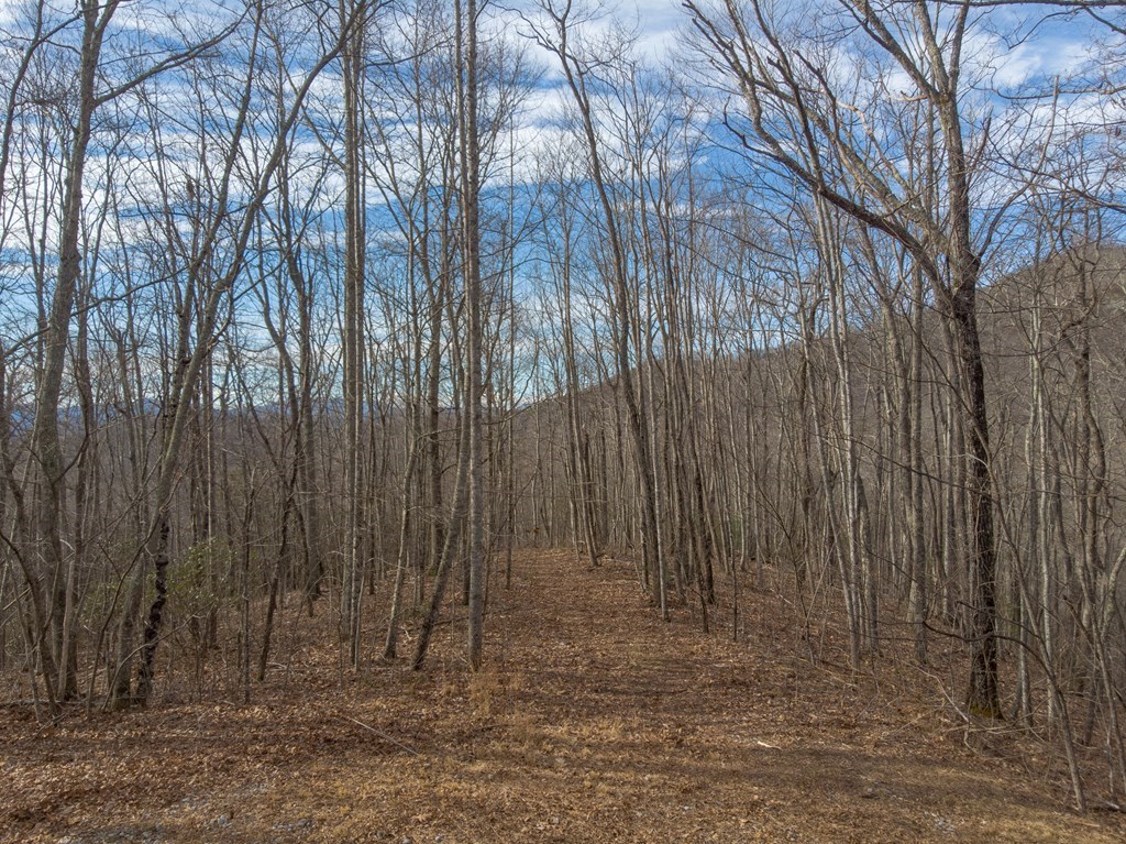 00 Highlands Pass Trail