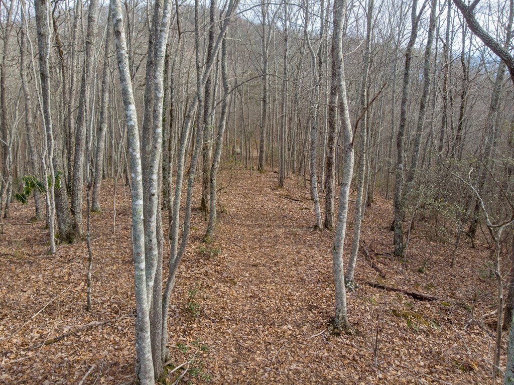 00 Highlands Pass Trail